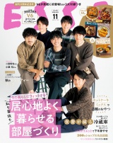 ESSE2020年11月号 パッケージ画像