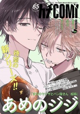 カチＣＯＭＩ　vol.65 パッケージ画像