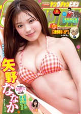 ヤングチャンピオン　2026年11号 パッケージ画像